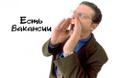 Координатор технического отдела