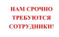 Помощник руководителя