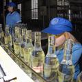 Вахта в Москве на вакансию «Оператор линии»: производство алкогольной продукции.