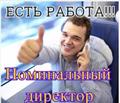 Номинальный директор