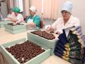 Упаковщик конфет с питанием и проживанием