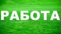 Работа на опросах (интервьюер)